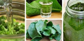 ცხენის წაბლის ფოთლების საოცარი სამკურნალო რეცეფტი