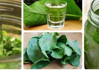 ცხენის წაბლის ფოთლების საოცარი სამკურნალო რეცეფტი