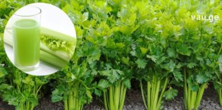 ნიახურის საიდუმლო – იკლებთ წონაში, გაქვთ სუფთა კანი და მკურნალობთ ბევრ დაავადებას