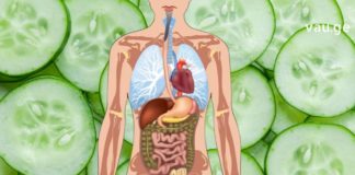 კიტრის უნიკალური სამკურნალო თვისებები – გსმენიათ ამის შესახებ?