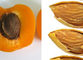 არ გადაყაროთ გარგარის კურკა!