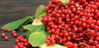 ლიმონურას ჯადოსნური თვისებები