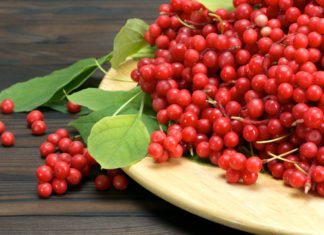 ლიმონურას ჯადოსნური თვისებები