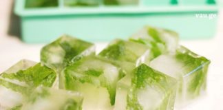 ეს სასწაული რეცეფტი აქამდე არავინ იცოდა! გაყინული ალოე ვერა ჯანრთელობისთვის