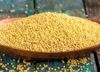 სამკურნალო საშუალება ფეტვით ხალხურ მედიცინაში. იხილეთ რეცეფტები სხვადასხვა დაავადების დროს.