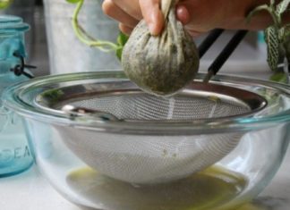 დაფნის მალამო უებარი საშუალებაა სამკურნალოდ- აქამდე უცნობი რეცეფტი