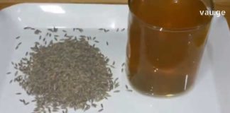 იცოდით, რომ ძირა ბევრი სამკურნალო თვისებით გამოირჩევა? გაიგეთ მეტი ამ სურნელოვანი სანელებლის შესახებ