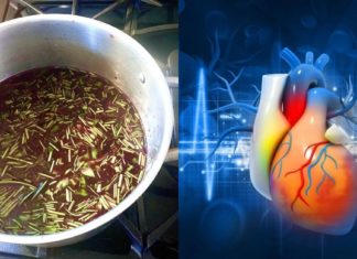 უჩვეულო რეცეფტი, რომელიც გულის დაავადებებს კურნავს