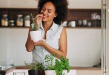 5 მცენარე, რომლებიც მნიშვნელოვანია ქალების ჯანმრთელობისთვის