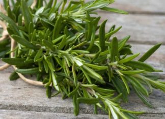 გრძნობთ რომ გონება და სხეული დაიღალა? იცოდეთ, რომ არსებობს ძლიერი და არომატული ბალახი, რომელსაც შეუძლია თქვენთვის საჭირო ენერგიის მიწოდება