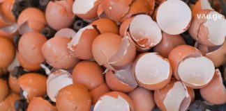 რატომ არის აუცილებელი კვერცხის ნანუჭის შენახვა? კვერცხის ნაჭუჭი კალციუმის საბადოა
