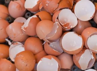 რატომ არის აუცილებელი კვერცხის ნანუჭის შენახვა? კვერცხის ნაჭუჭი კალციუმის საბადოა