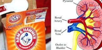 აი, რა მოუვა თქვენს თირკმელებს თუ ნახევარ კოვზ საკვებ სოდას მიიღებთ…