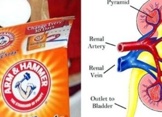 აი, რა მოუვა თქვენს თირკმელებს თუ ნახევარ კოვზ საკვებ სოდას მიიღებთ…