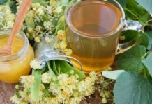 იცოდით, რომ ცაცხვი სამკურნალო მცენარეა? წაიკითხეთ საოცარი რეცეპტები!