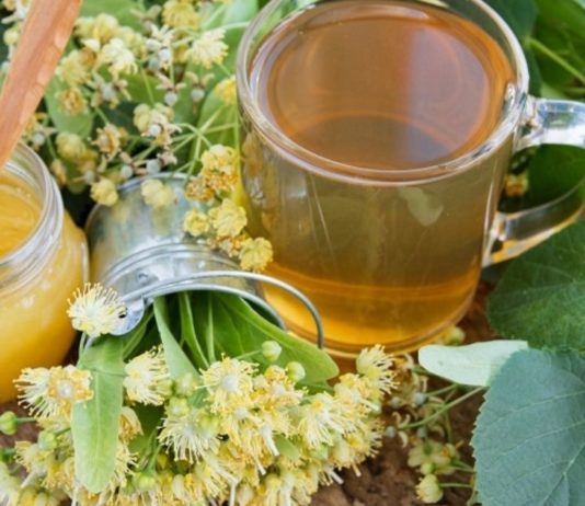 იცოდით, რომ ცაცხვი სამკურნალო მცენარეა? წაიკითხეთ საოცარი რეცეპტები!