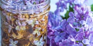 აქამდე გმენიათ იასამნის ნაყენზე? სახსრების ტკივილისა და რევმატიზმის დროს ამაზე უკეთესს ვერაფერს გამოიყენებთ