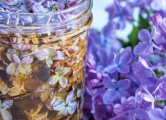 აქამდე გმენიათ იასამნის ნაყენზე? სახსრების ტკივილისა და რევმატიზმის დროს ამაზე უკეთესს ვერაფერს გამოიყენებთ