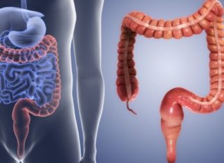 ნაწლავების წმენდა ამ მეთოდით ყველაზე ეფექტურია