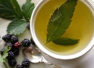 მაყვლისგან და მისი ფოთლებისგან ისეთ სასმელს ვამზადებ, რომელიც დაავადებებს აფრთხობს! გიზიარებთ რეცეპტს