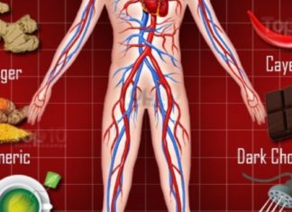 თქვენ იცით,  რომ სისხლის სწორ ცირკულირებას ორგანიზმის ჯანმრთელობისთვის დიდი მნიშვნელობა აქვს? რა უნდა გავაკეთოთ ამისათვის?