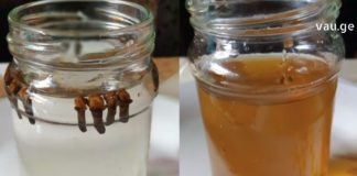 მიხაკის ნაყენი, რომელიც მუდამ არის ჩვენი ოჯახის განუყოფელი ნაწილი