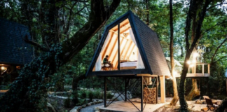 Ფინური კოტეჯების მახასიათებლები