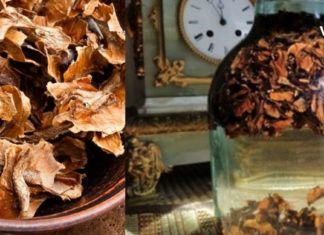 კაკლის უღელი ფარისებრი ჯირკვლის სამკურნალოდ საუკეთესო საშუალებაა