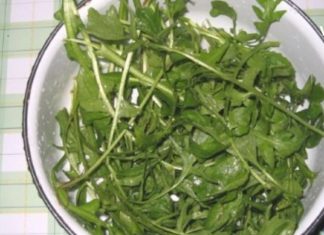 როგორც იქნა ამ წამლის საიდუმლო რეცეფტი გავიგე და აღარ მტანჯავს ყურებში შუილი და სხვა დაავადებებიც დავამარცხე