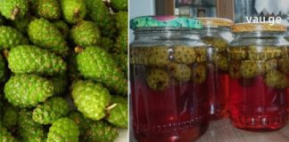 გირჩის მურაბის უნიკალური სამკურნალო თვისებები