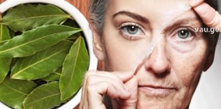 იცით, რომ ძალიან ღრმა ნაოჭებსაც კი ასწორებს დაფნა?!