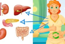 გაიწმინდეთ ორგანიზმი და ნუ შეგეშინდებათ ღვიძლისა და თირკმელების პრობლემების, კანის დაავადებების.