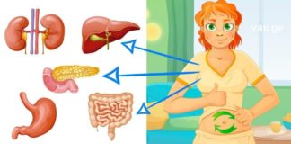 გაიწმინდეთ ორგანიზმი და ნუ შეგეშინდებათ ღვიძლისა და თირკმელების პრობლემების, კანის დაავადებების.