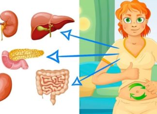 გაიწმინდეთ ორგანიზმი და ნუ შეგეშინდებათ ღვიძლისა და თირკმელების პრობლემების, კანის დაავადებების.