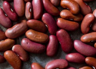 წარმოგიდგენთ 5 საკვებ პროდუქტს, რომელიც ცილის მაღალი შემცველობის ხარჯზე წმენდს სისხლძარღვებს და აძლიერებს კუნთებს