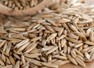 ჭვავის ბაზაზე მომზადებული ფერმენტირებული წყლის რეცეპტი, ანადგურებს ნაწლავის მავნე ბაქტერიებს