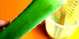 გამოიყენეთ უძლიერესი სამკურნალო მცენარე, რომელიც ეფექტურად უმკლავდება მრავალ დაავადებას.