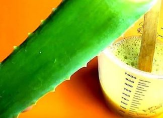 გამოიყენეთ უძლიერესი სამკურნალო მცენარე, რომელიც ეფექტურად უმკლავდება მრავალ დაავადებას.