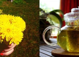 ბაბუაწვერას საოცარმა სამკურნალო თვისებებმა შოკში ჩამაგდო- იხილეთ რეცეფტები