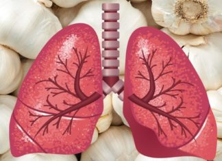 ნიორი ფილტვებისთვის იდეალური საშუალებაა! აი, როგორ უნდა მოამზადოთ ის