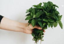 პიტნა ფასდადუდებელი მცენარეა ჩვენი ჯანმრთელობისთვის. გაეცანით მისი გამოყენების 10 გზას.