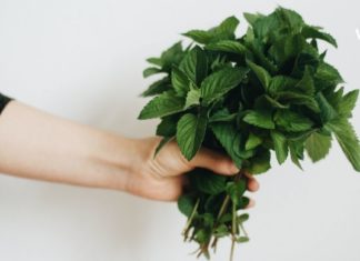 პიტნა ფასდადუდებელი მცენარეა ჩვენი ჯანმრთელობისთვის. გაეცანით მისი გამოყენების 10 გზას.