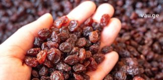 რატომ უნდა მიირთვათ დღეში 1 მუჭაქ ქიშმიში? ეს თქვენი ჯანმრთელობისთვის მნიშვნელოვანია