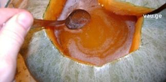 გსმენიათ გოგრის თაფლის შესახებ? ის უებარია ღვიძლის, თირკმლებისა და შარდის ბუშტის დაავადებების წინააღმდეგ. აი რეცეპტიც!