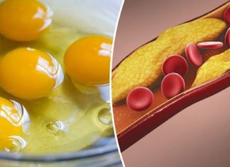 როგორც აღმოჩნდა, დღეში 2-3 კვერცხის ჭამა იდეალური დოზაა ადამიანისთვის და მას ასეთი სარგებლის მოტანა შეუძლია: