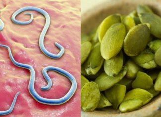 როგორ მოვსპოთ ორგანიზმში პარაზიტები მარტივად და სწრაფად? 4 რეცეპტი!