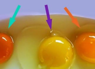 თუ ქათმის კვერცხს ამას შეამჩნევთ, არავითარ შემთხვევაში არ შეჭამოთ! გაიგეთ მეტი…