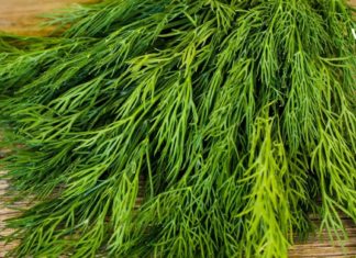 მეტეორიზმი, ტკივილი ნაწლავებში, კოლიტი – ამ პრობლემებს თავი დავაღწიე რაც კამის ნაყენის დალევა დავიწყე