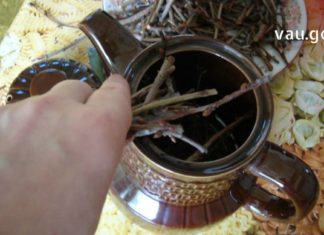 ფარისებრი ჯირკვალი ისე გამიღიზიანდა, ზომაში გადიდდა და შორიდანაც შესამჩნევი გახდა. როგორც იქნა აღმოვაჩინე ნატურალური წამალი