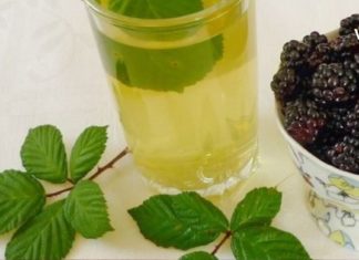 მაყვლის საოცრად ეფექტური სამკურნალო რეცეპტი, რომელიც სულ ახლახანს აღმოვაჩინე